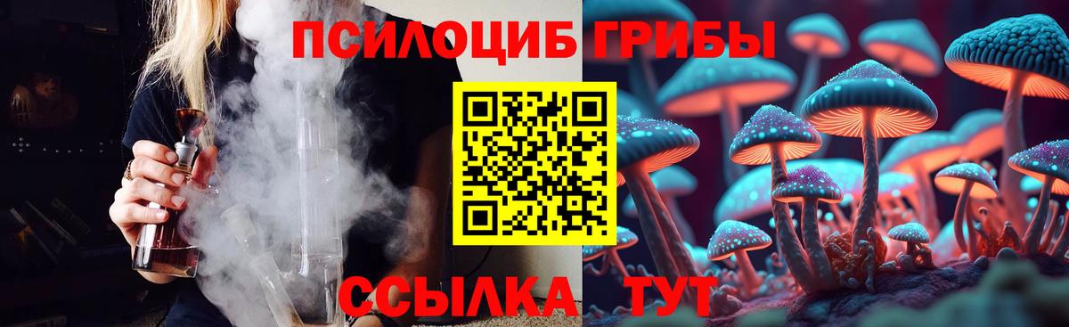 Псилоцибиновые грибы MAGIC MUSHROOMS  Галлюциногенные грибы Psilocybine cubensis  Назрань  Вход с VPN 